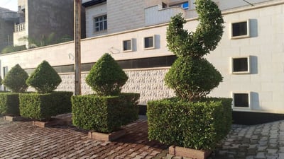 Anbar engineer transforms street in Hit with unique greenery