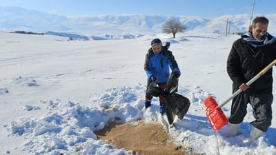 Volunteers spread grain for birds after heavy snowfall blankets Pshdar