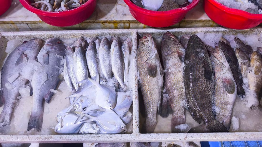 البحر يجود على البصرة.. أسعار الأسماك تهبط و”أكل الفقير” صار بألف دينار