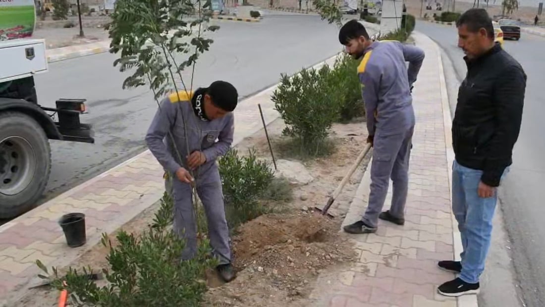 تلعفر تغرس ألف شتلة نادرة وتناشد الأهالي: ساعدونا في السقي والحماية (صور)
