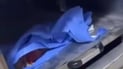 Cat carcass mistaken for child’s body at Akre cemetery