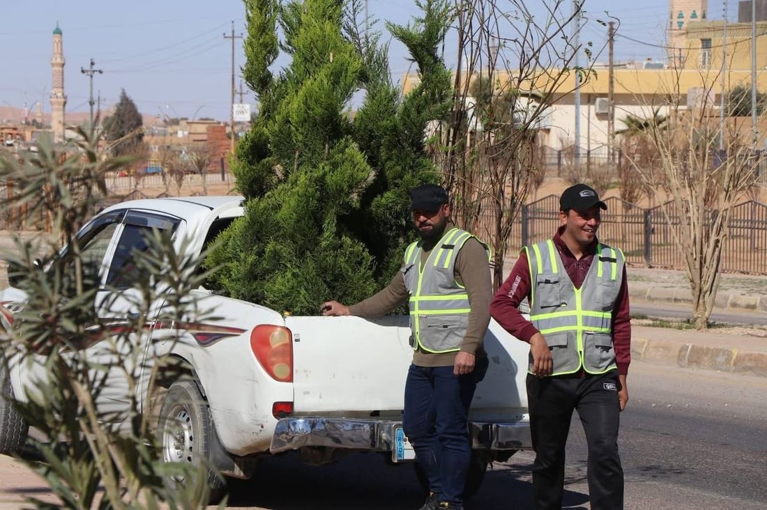 حملة التشجير الربيعية انطلقت.. صور من 8 مدن في الأنبار