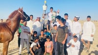 انتهى سباق ربيعة.. مشاهد من تتويج 