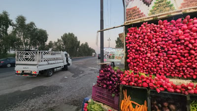 سکاڵاى یاسایى لەسەر سەوزەفرۆشانى پردێ تۆمار دەکرێت
