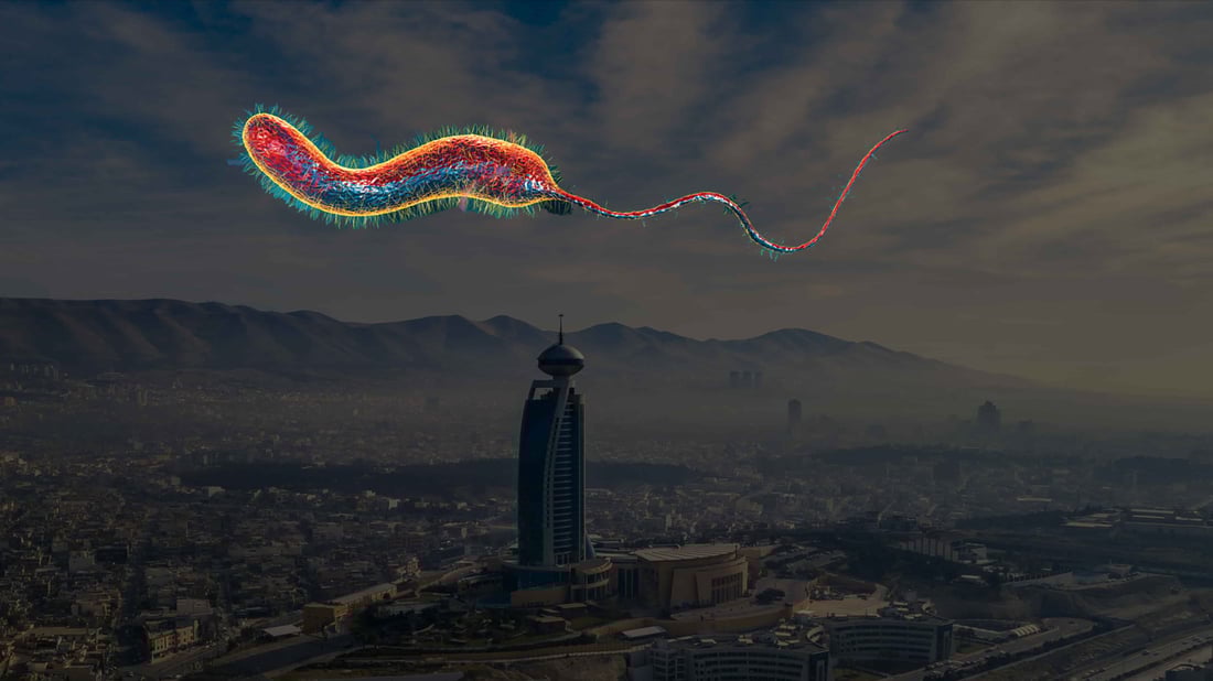 ته‌ندروستى سلێمانى ده‌ڵێت “هیچ حاڵەتێكی توشبوون بە كۆلێرا تۆمار نەكراوە”