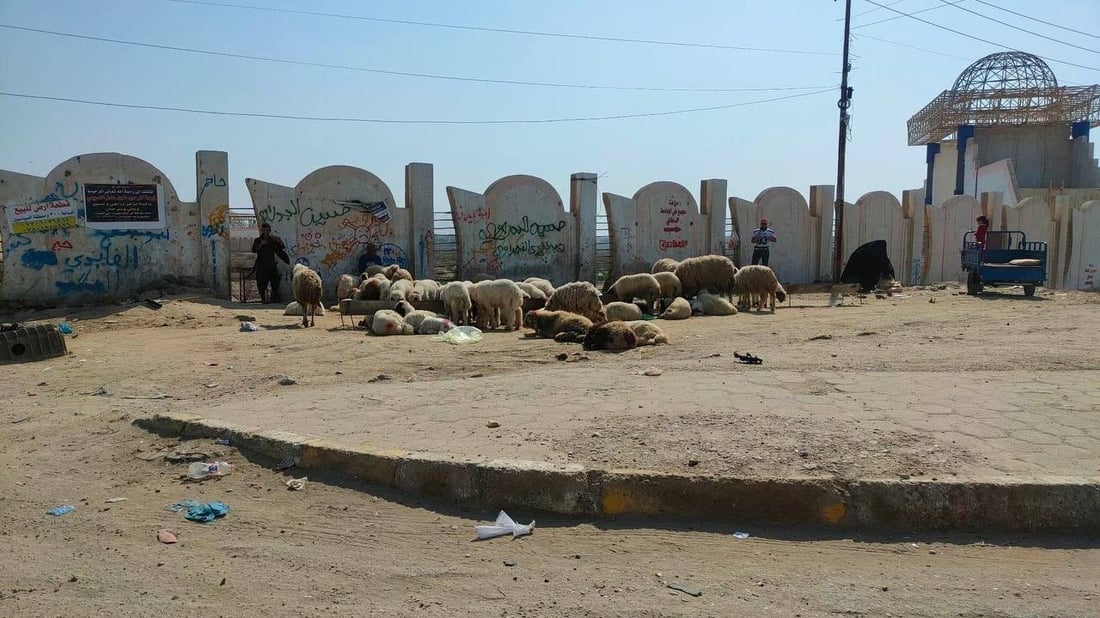 محافظ واسط: سنعاقب المسؤولين المتهاونين بتطبيق حظر تجوال المواشي