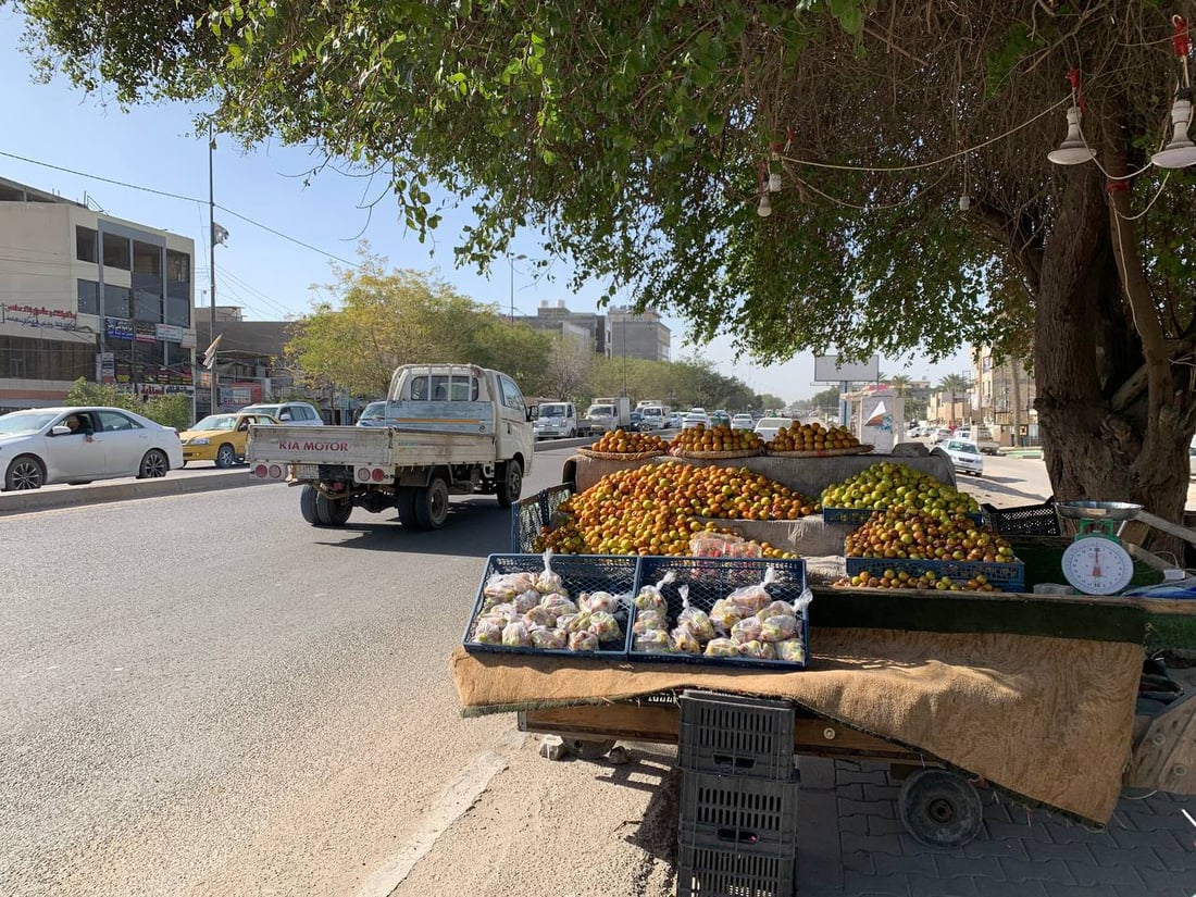 “نبگ” البصرة لم يصل بغداد بعد.. الإيراني والهندي يغزو الأسواق