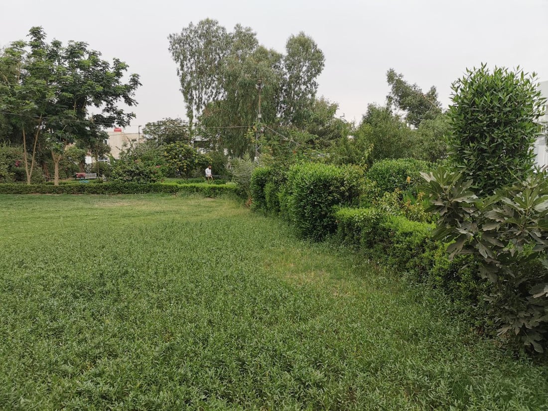 أعطى مفتاحاً لكل عائلة.. شاب كوفي ينشئ للجيران حديقة غنّاء ويحيطها بأبواب محكمة