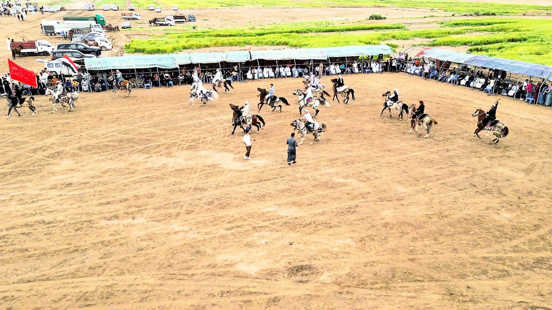 50 riders compete at Diwaniyah equestrian festival