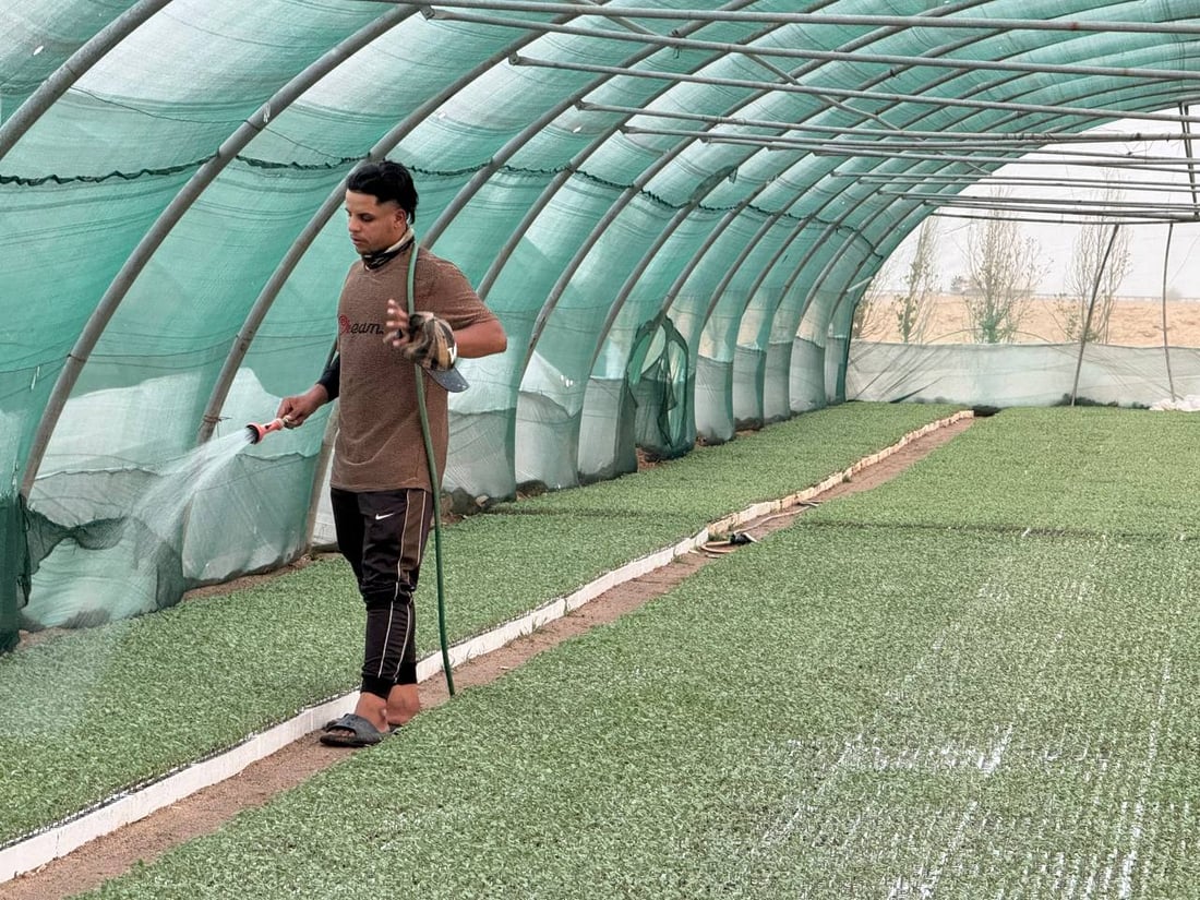 <?php echo get_the_title() ?>