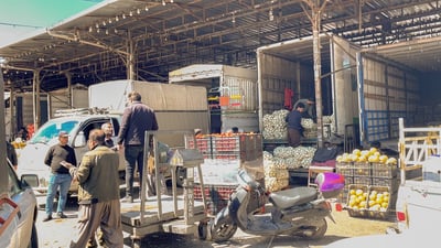 تەماتە دەستناکەوێت و هەر کیلۆیەک نزیکەی هەزار دیناری چووەتە سەر