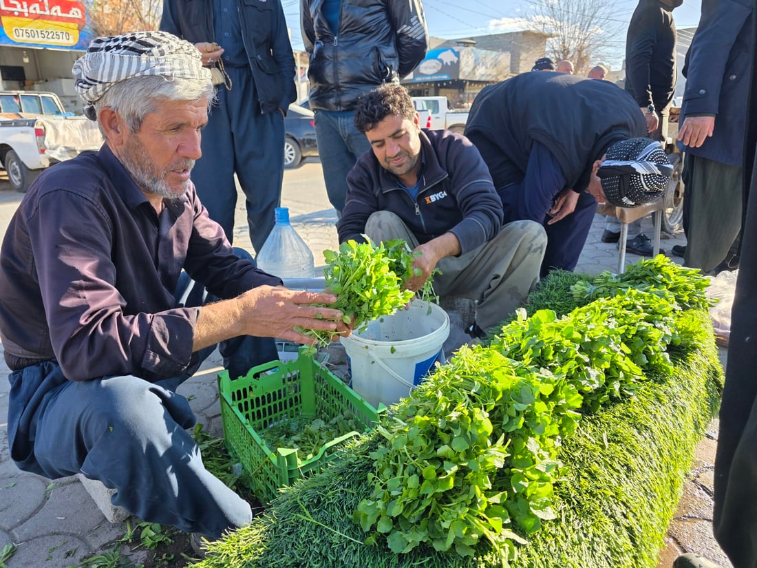 کوزەڵەکەی شارەزوور بە چوار هەزارە و بەریش ناکەوێ