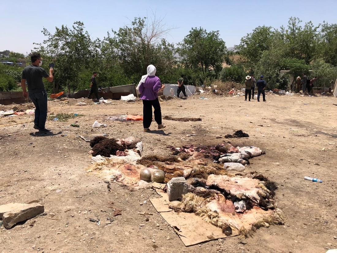   ئەو كەپرانەی ئاژەڵیان بە نایاسايی تێدا سەردەبڕی تێكدران