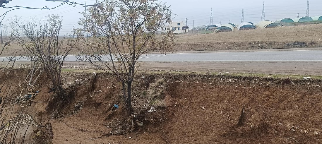 بچن بەهانای درەختەکانی نێوان تەکیە بۆ چەمچەماڵ