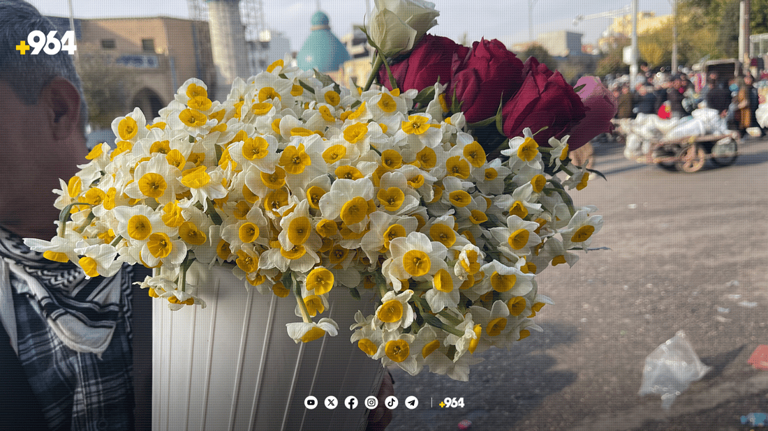 نێرگزی شیراز بازاڕی سلێمانی بۆنخۆش کردووە