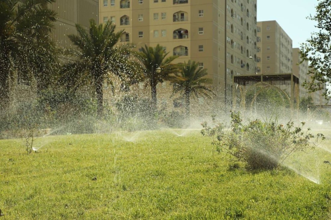 صور: سكان بسماية يزرعون النخيل والثيل قبل الصيف.. “الحياة أجمل الآن”