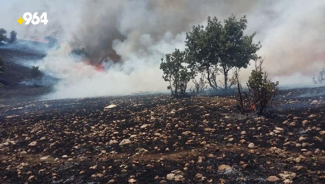ئاگرەکەی ئاغجەلەر دوو هەزار دۆنم زەوی سووتاند