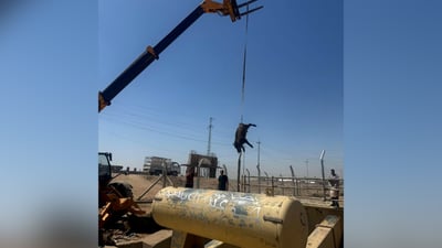 سقوط 4 خنازير في ماء كركوك والمديرية تطمئن: موقع الحادث قبل الفلترة والتعقيم