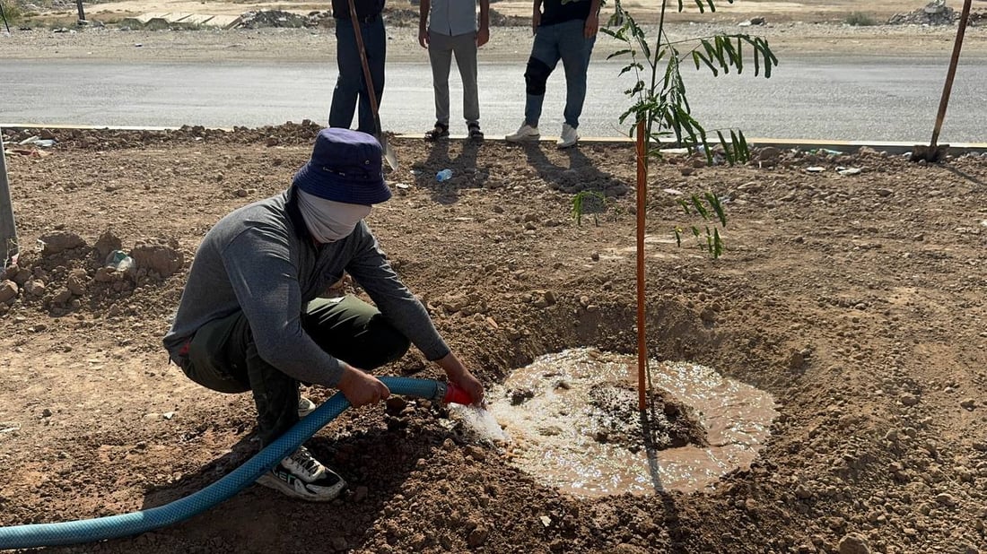 خانەقین بە مەکینە و عارەبانەوە دەستی بە چاندنی نەمام کرد
