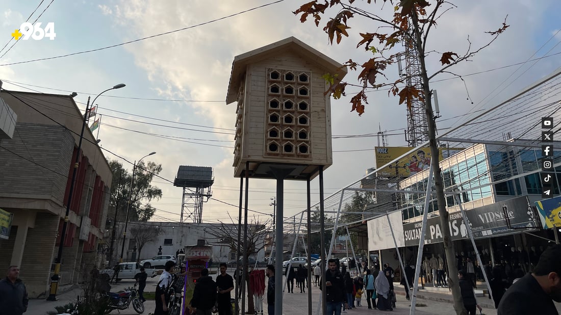 لە رانیە ماڵە دارینە بۆ باڵندەکان دروستکرا