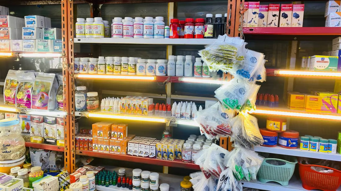 Maysan faces challenges in pet care and medication as winter arrives