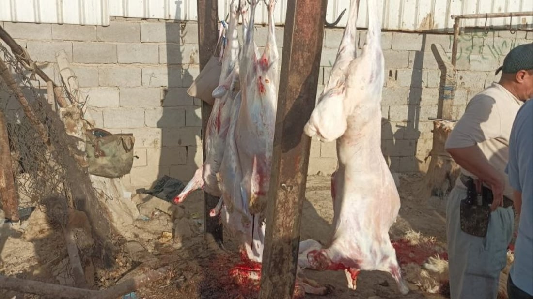 صور: اعتقال 3 جزارين ومصادرة ذبائح غير صالحة في سوق الشيوخ