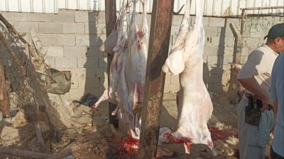 صور: اعتقال 3 جزارين ومصادرة ذبائح غير صالحة في سوق الشيوخ