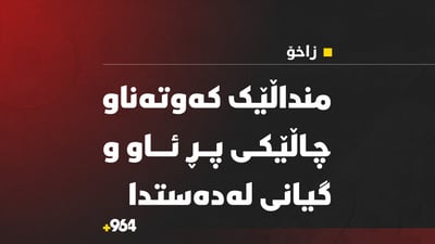 منداڵێک کەوتە ناو بیری ماڵەوە و گیانی لەدەست دا