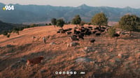 جوتیارانى بارزان بۆ چاندنى گه‌نمى داهاتوو ئاگادار ده�...