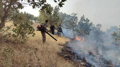 ئاگرەکەی ناحیەی گەرمک 300 دۆنم پوش و پاوانی سووتاندووە