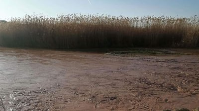 سد العظيم يطلق 20 متر مكعب في الثانية.. المياه تجري صوب حقول الحنطة والشعير