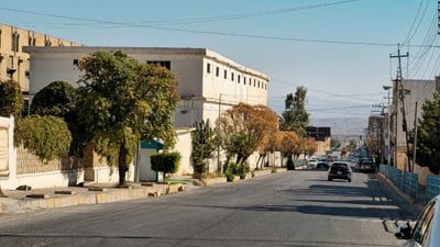 دار چەترەکانی شەقامی عەونی کۆیە زەرد هەڵگەڕاون و وشکبوون