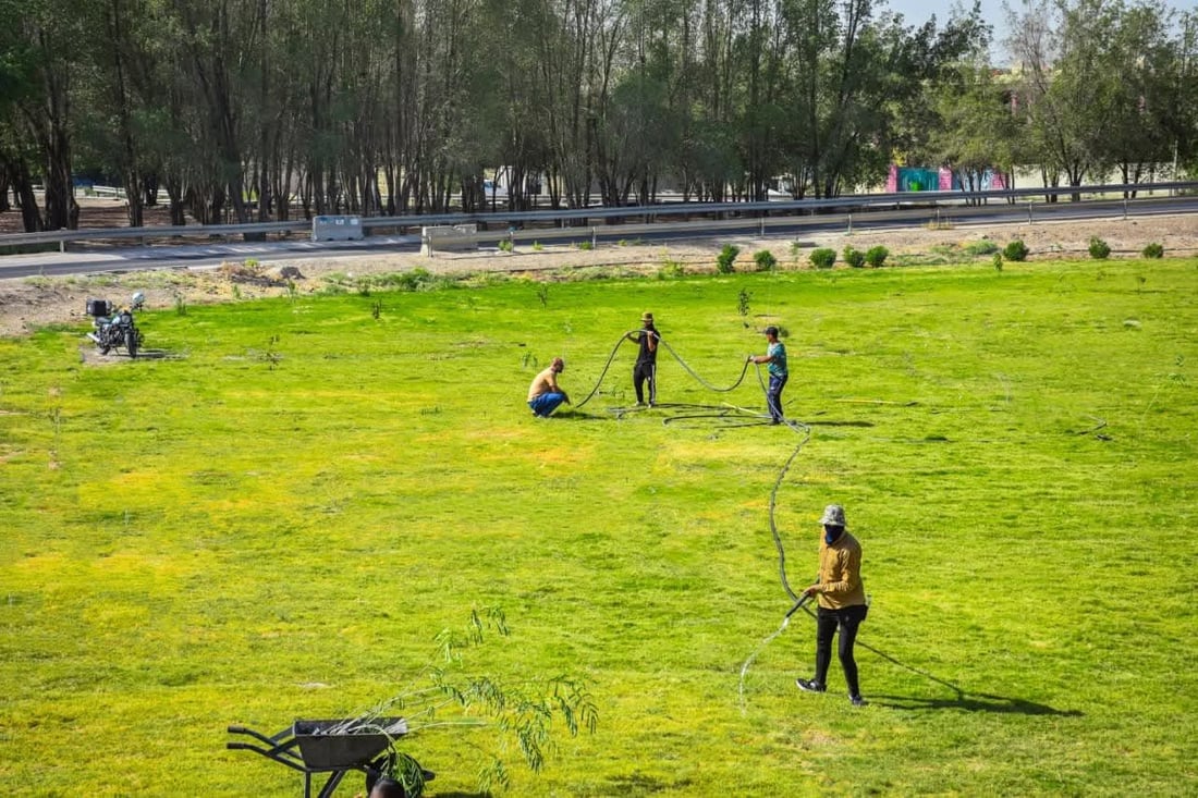 صور مبهرة من تشجير مقتربات مجسر الجمجمة في الحلة