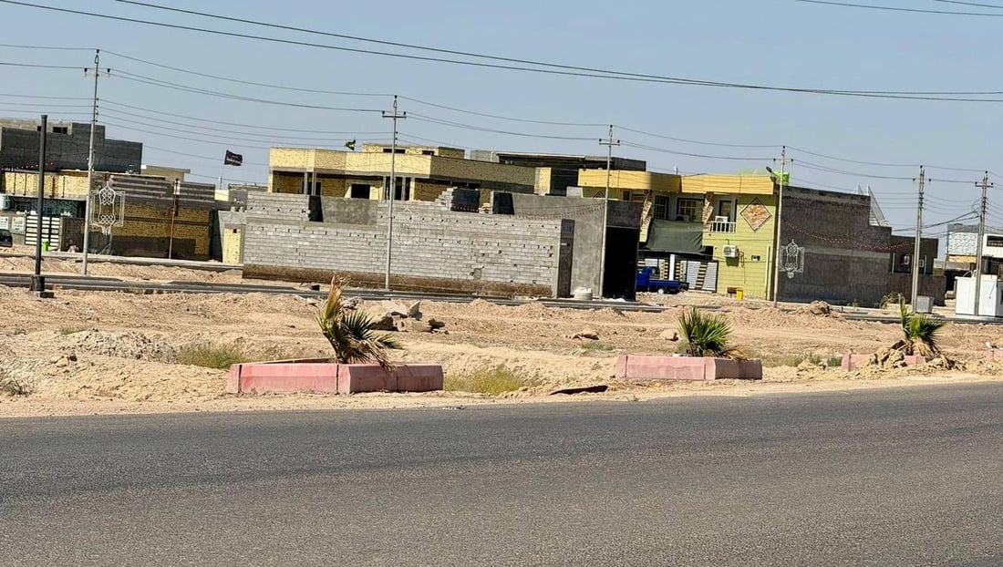 نخيل “أبو جهل” يثير انتقادات شمال البصرة ضد البلدية (صور)