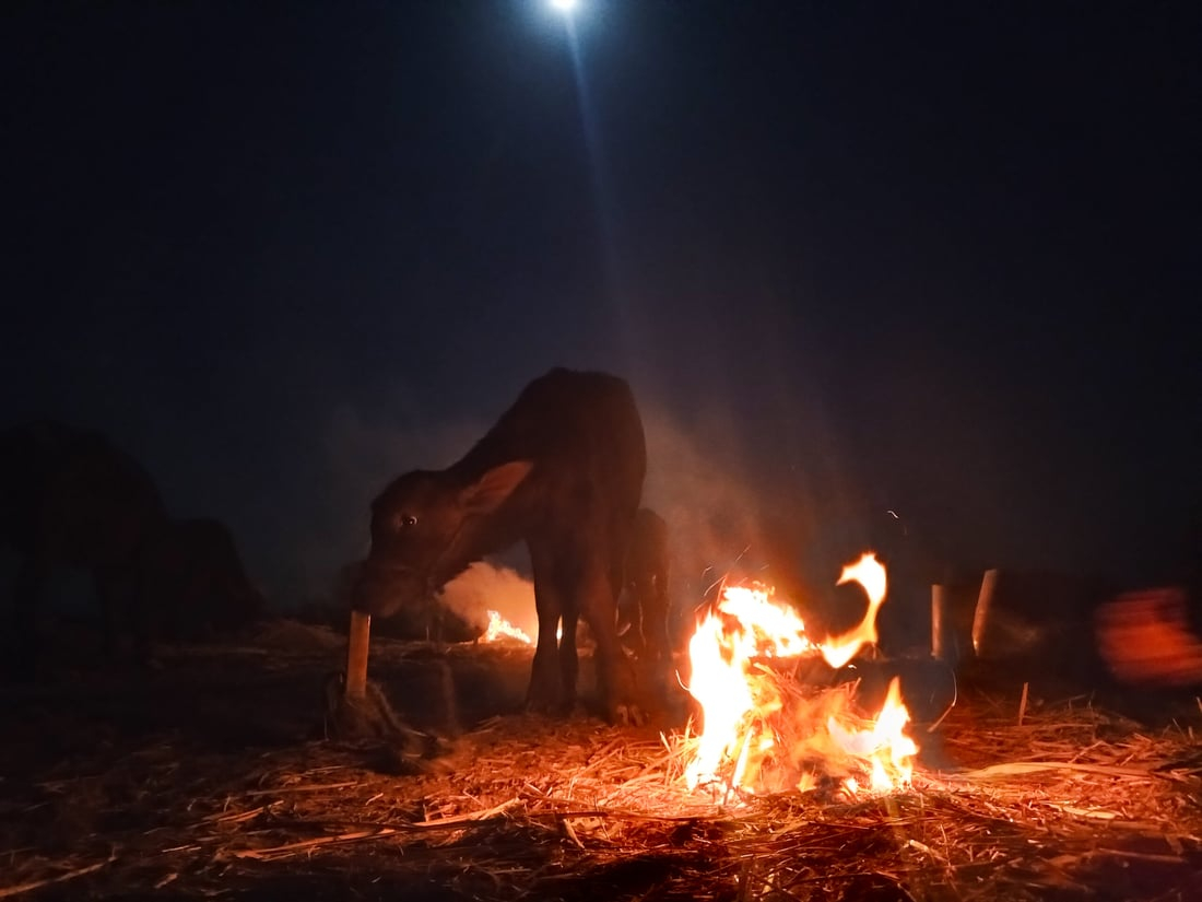 964mediaصورة من منصة (شبكة): 