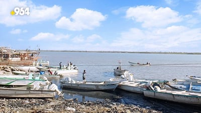 فيديو من مرسى النقعة: أسماك البحر وفيرة والروبيان المنظف بـ10 آلاف دينار