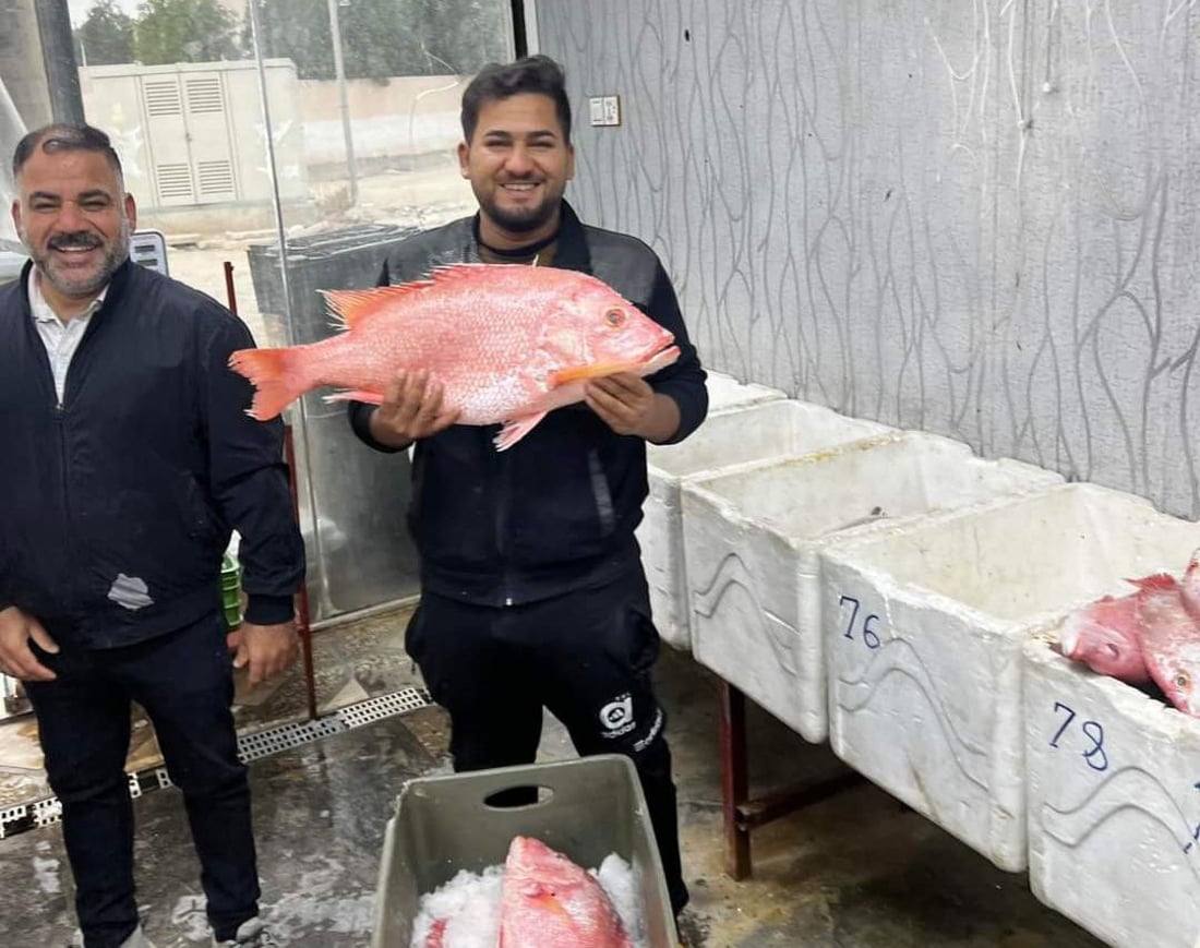 صور: طويريج بدأت تتذوق أسماك الفاو.. لماذا نشتري محصول الأحواض بوجود أبو كرار؟