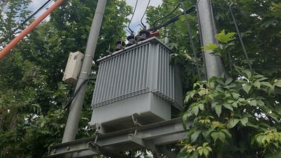 ئەوەی لە سلێمانی سەرپێچی کردبوو سزا درا