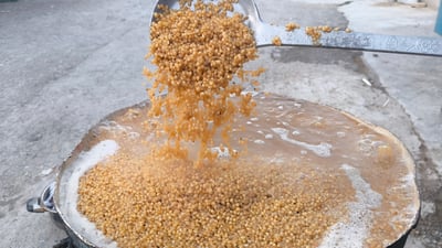خانمانی شارەزوور بۆ دروستکردنی ساوەر و دۆینە گەنم دەکوڵێنن