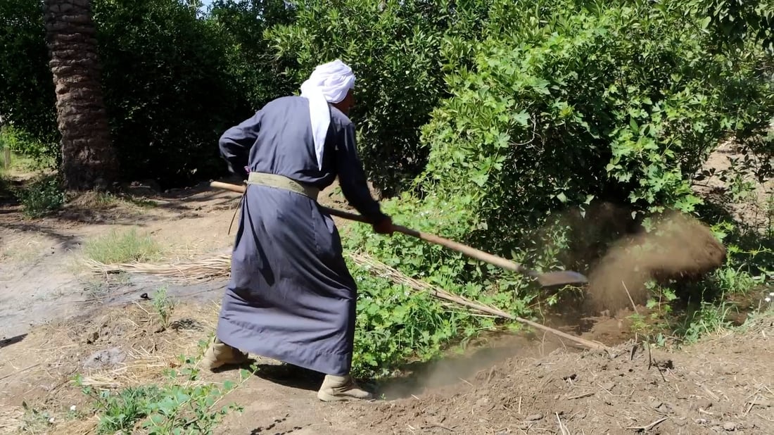 الزيدي يوافق على الخطة الزراعية الشتوية ورصد مستحقات المزارعين – بيان