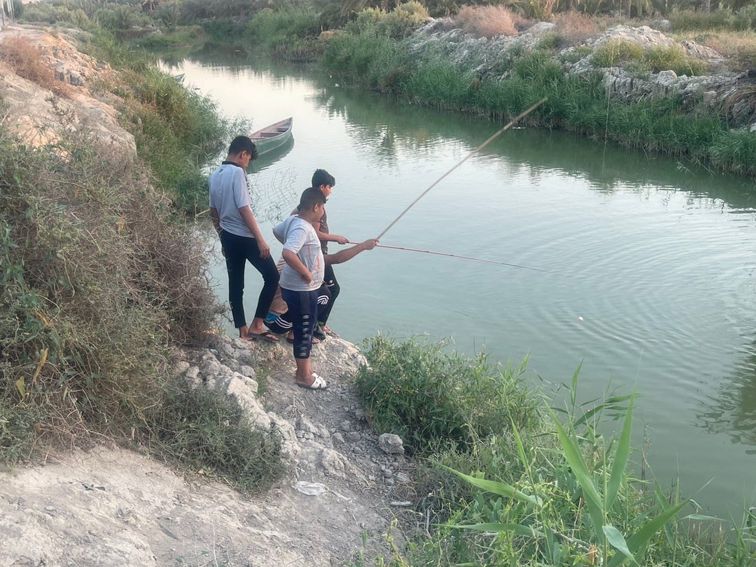 صور من روعة الطبيعة شمال البصرة.. السفرات تبدأ إلى نهر الداير مع برودة الطقس