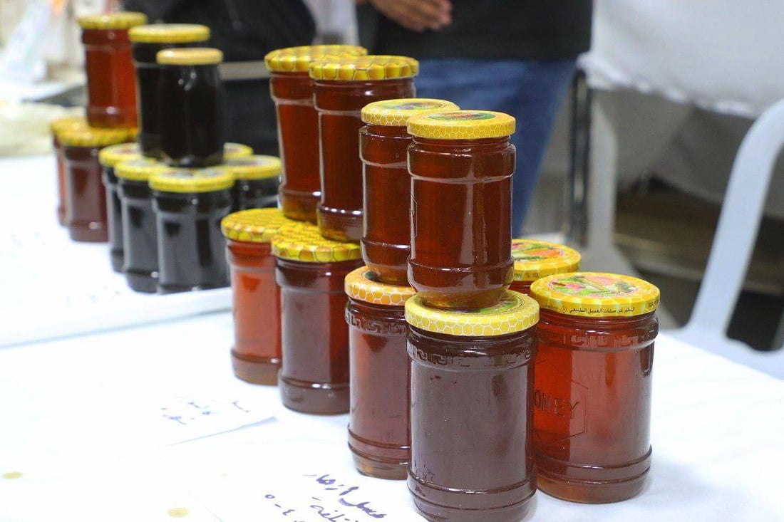 الحرب على شجرة الكاربس في العراق بدأت من “مدينة العسل” الصويرة