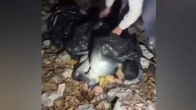 کۆڵبەرێک لەسەرما رەق بووەوە؛ تەرمەکەی لە پزیشکی دادی سلێمانییە