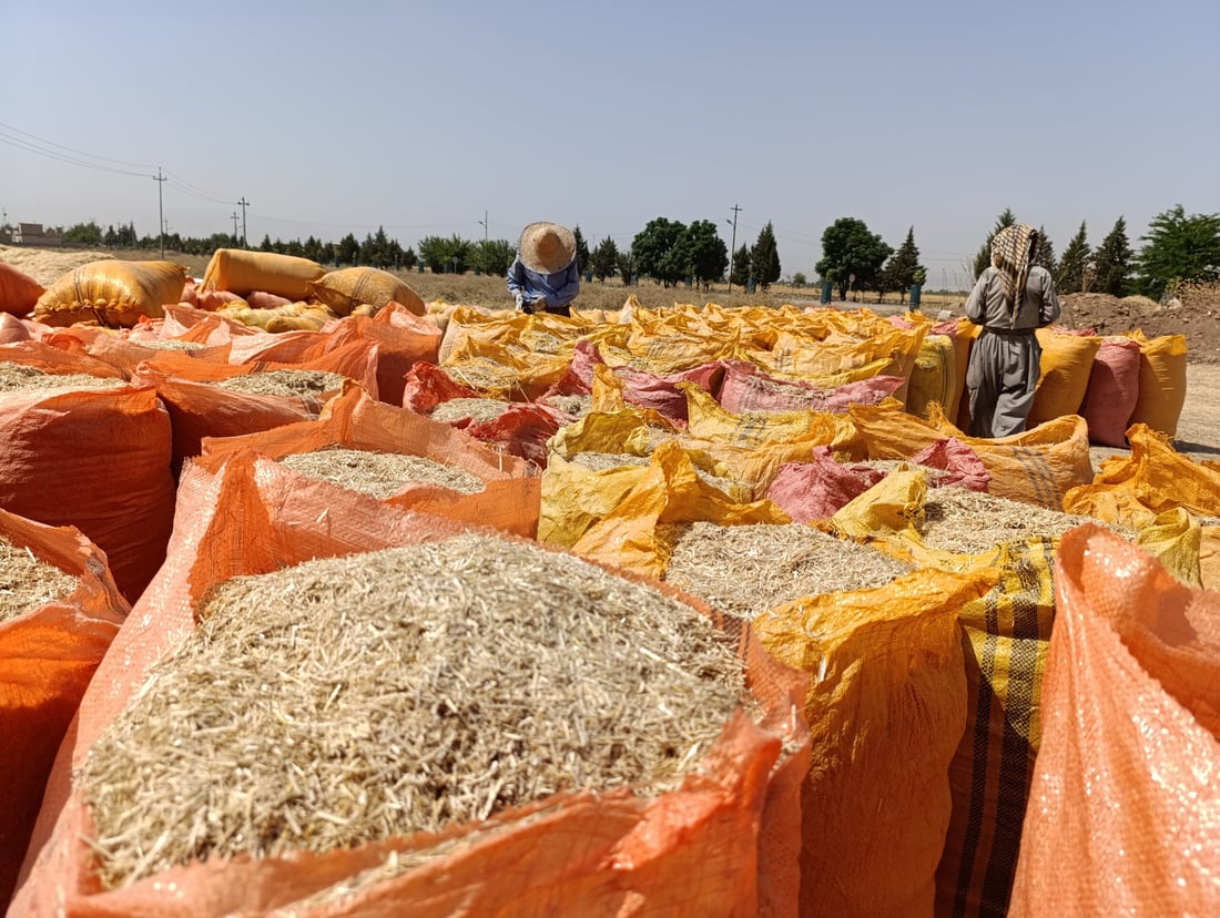 سووتاندنى جاره‌ گه‌نمه‌كان نرخى “كا”ـی به‌رزكرده‌وه‌