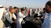 شاهد: ثيران وعجول في طابور المزاد المزدحم.. أسعار تلتهب ...