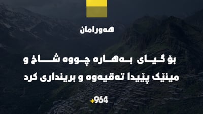 بە هۆی تەقینەوەی مینێک لە شاخێکی هەورامان گەنجێک بریندار بوو