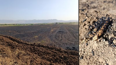 بەرگریی شارستانیی راپەڕین بیر لە سزادانی “پەرێز سوتێنەرەکان” دەکاتەوە