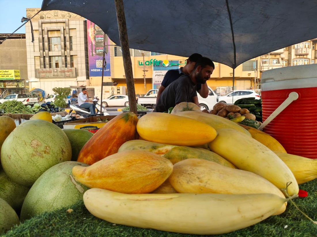 صور: هذا ليس بطيخاً ولا “عطروزي”.. سوق الحلة يحتفل بـ”السابوري” أو “خيار الماء”