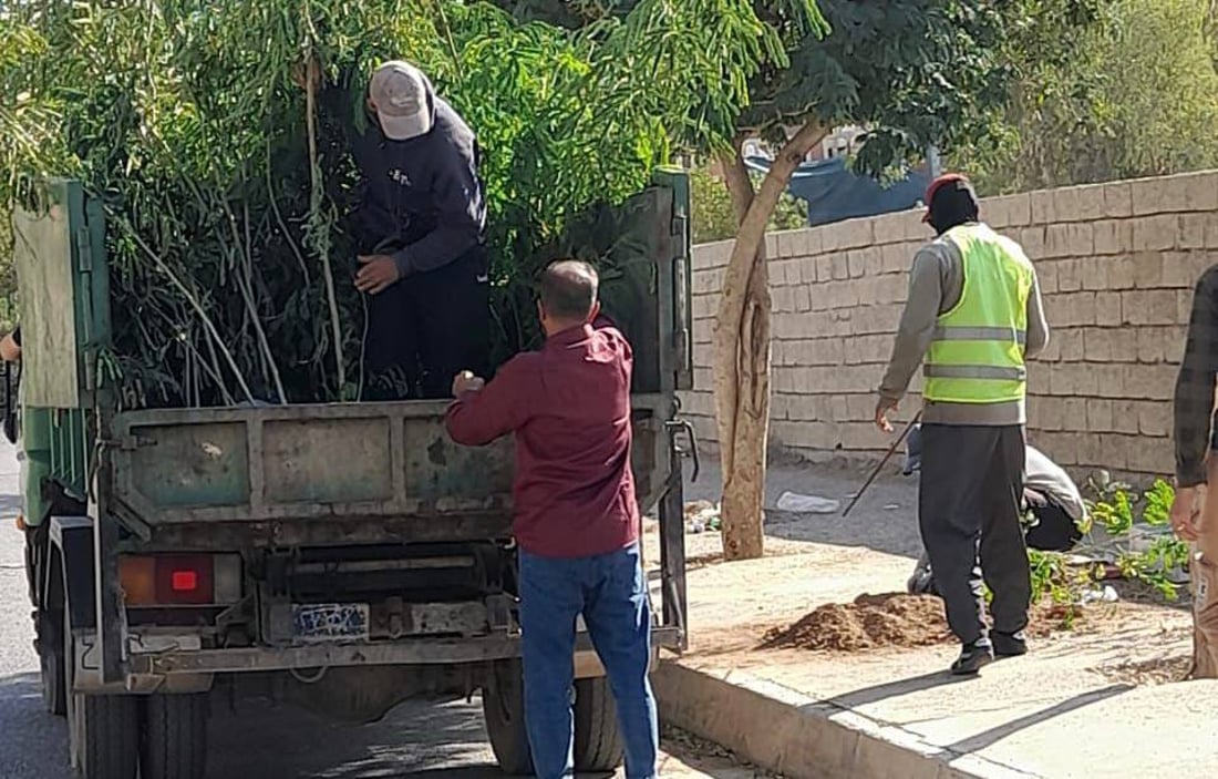 داقوق: حملة زراعة بدأت من “الثقلين” وحي الموظفين ولن تتوقف (صور)