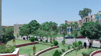 صور مدهشة من جامعة الموصل: “السبحبح” يكبر ويغطي الحدائق.. والسورية تتحمل تموز